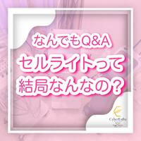 画像261