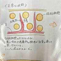 画像262