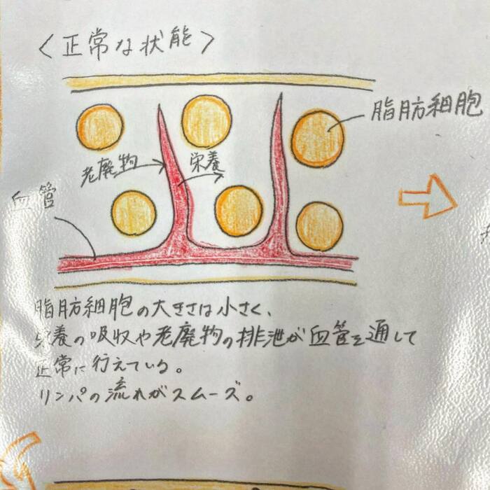 画像262