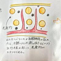 画像263
