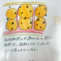 画像264