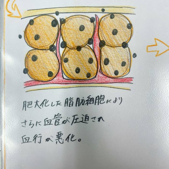 画像265