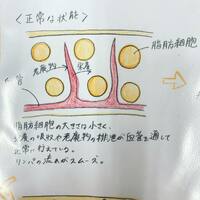 画像269