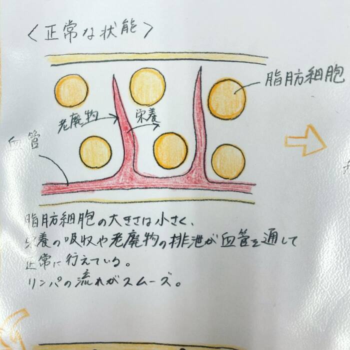 画像269