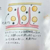 画像270