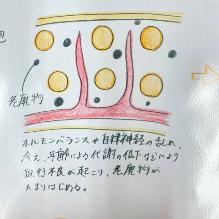 画像270