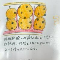 画像271