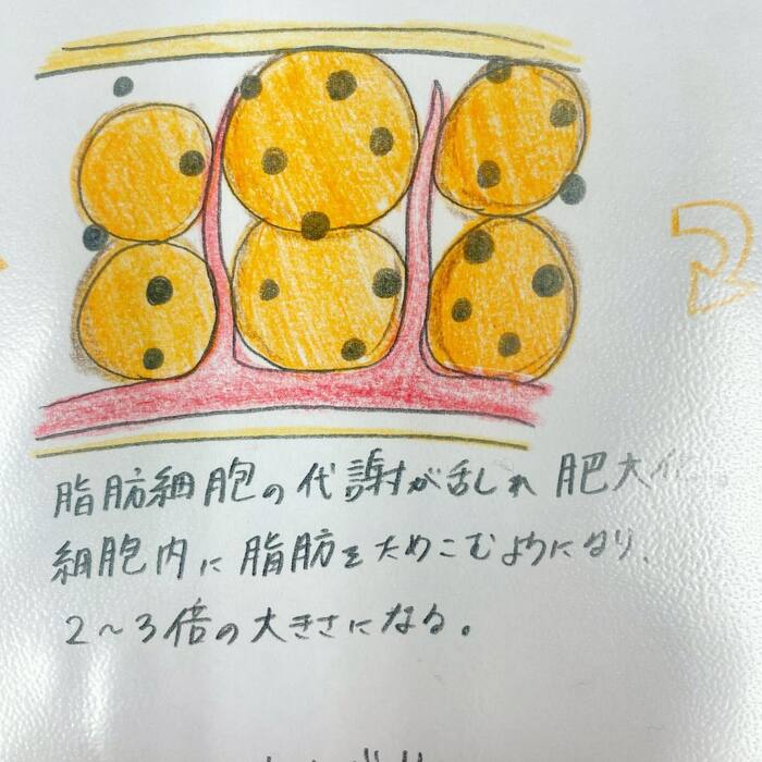 画像271