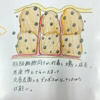 画像273