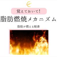画像523