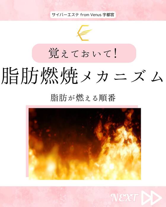 画像523