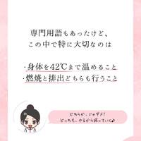 画像529